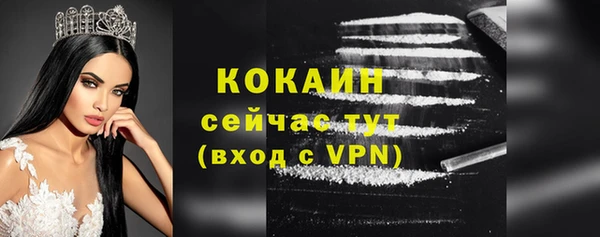 ALPHA PVP Лагань