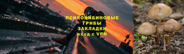 ГАЛЛЮЦИНОГЕННЫЕ ГРИБЫ Липки