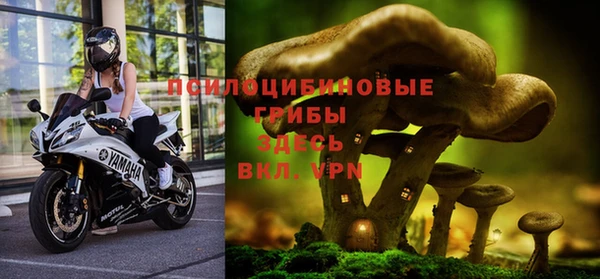 соль курить ск Ладушкин