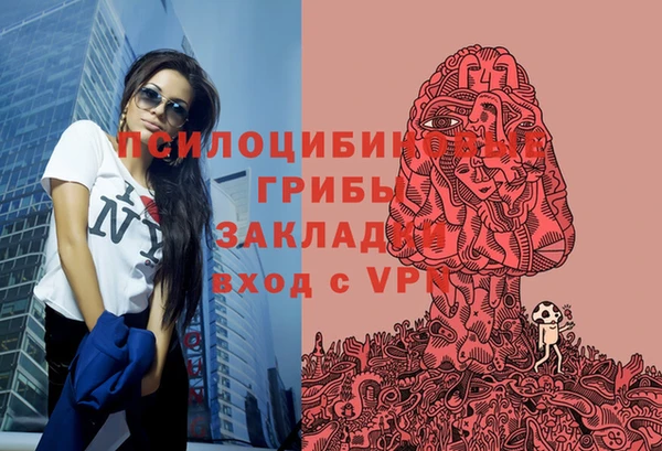 а пвп мука Верея