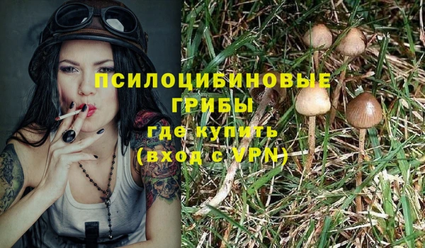 а пвп мука Верея