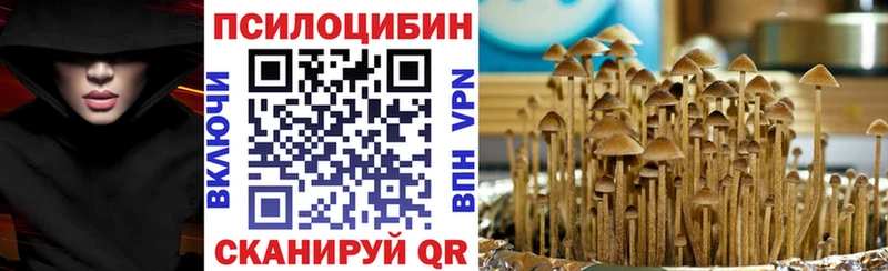 цена   Выкса  Галлюциногенные грибы мицелий 