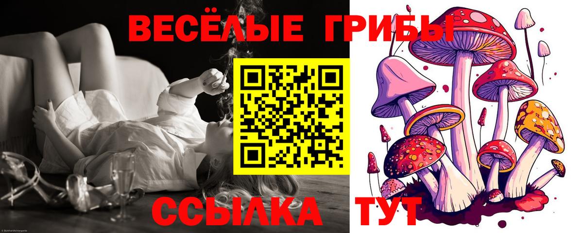 Галлюциногенные грибы Psilocybe  Галлюциногенные грибы прущие грибы  Выкса  где можно купить наркотик  Вход с VPN 