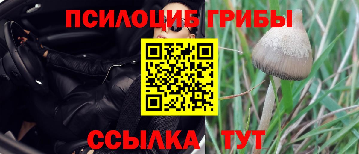 Галлюциногенные грибы GOLDEN TEACHER  Выкса 