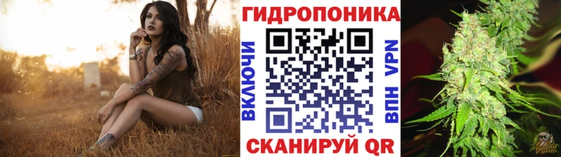 блэк спрут ссылка  Выкса  МАРИХУАНА план 